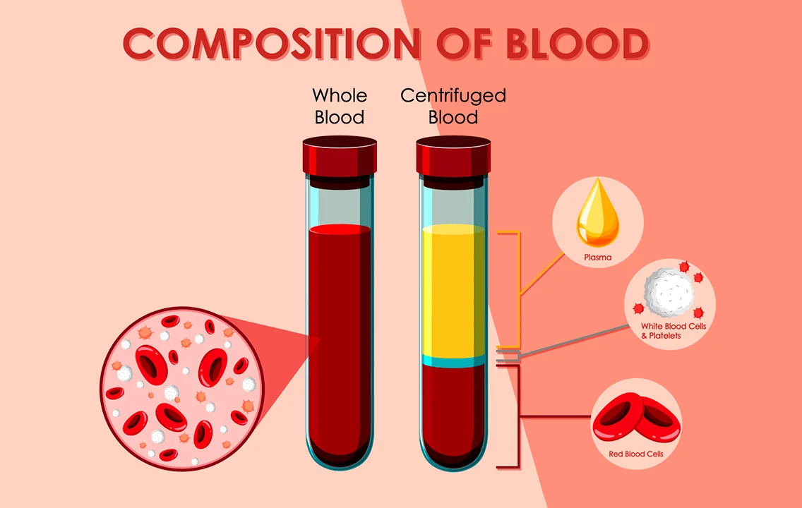 The Power of Platelet-Rich Plasma for Rejuvenation